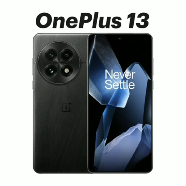 OnePlus 13